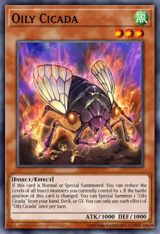 Oily Cicada · EN027