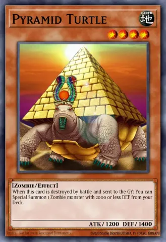 Pyramid Turtle · EN053
