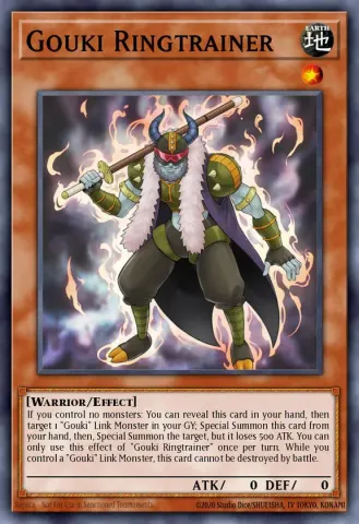 Gouki Ringtrainer · EN005