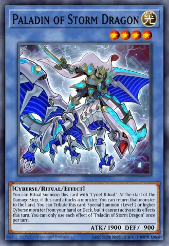 Paladin of Storm Dragon · EN031