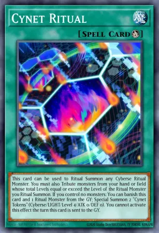 Cynet Ritual · EN051