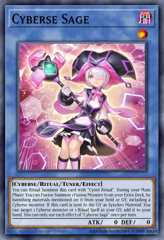 Cyberse Sage · EN033
