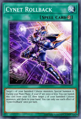 Cynet Rollback · EN051
