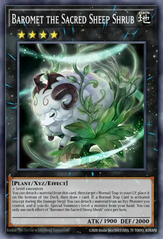 Baromet the Sacred Sheep Shrub · EN097
