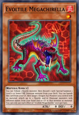Evoltile Megachirella · EN020