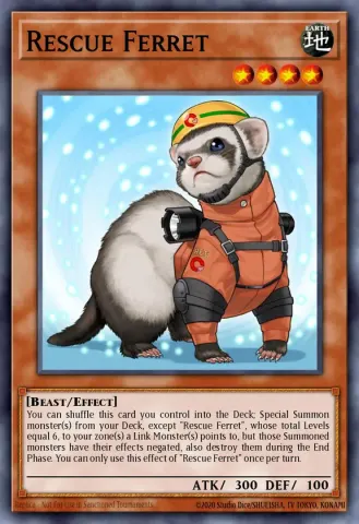 Rescue Ferret · EN029