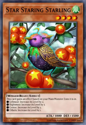 Star Staring Starling · EN024