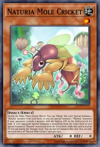 Naturia Mole Cricket · EN020