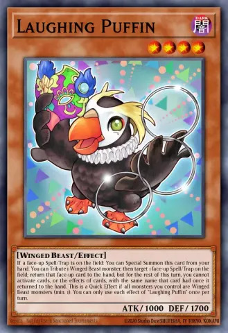 Laughing Puffin · EN033