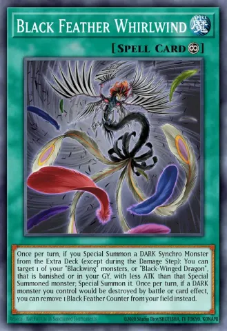 Black Feather Whirlwind · EN052