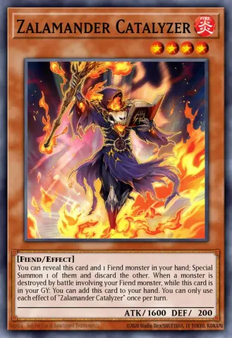 Zalamander Catalyzer · EN082