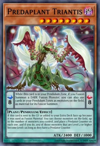 Predaplant Triantis · EN019