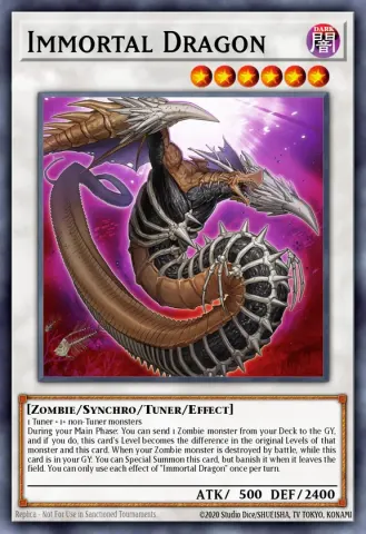 Immortal Dragon · EN041