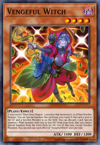 Vengeful Witch · EN004