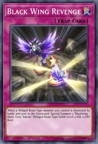 Black Wing Revenge · EN031