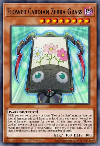Flower Cardian Zebra Grass · EN032