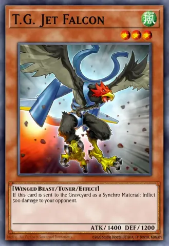 T.G. Jet Falcon · EN018