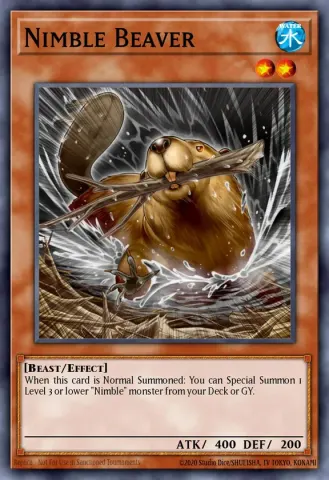 Nimble Beaver · EN040