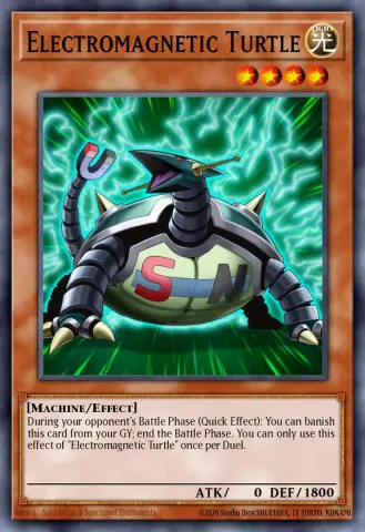Electromagnetic Turtle · ENA00