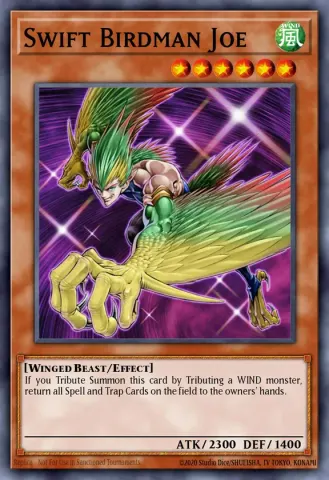 Swift Birdman Joe · EN012