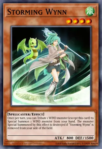 Storming Wynn · EN029