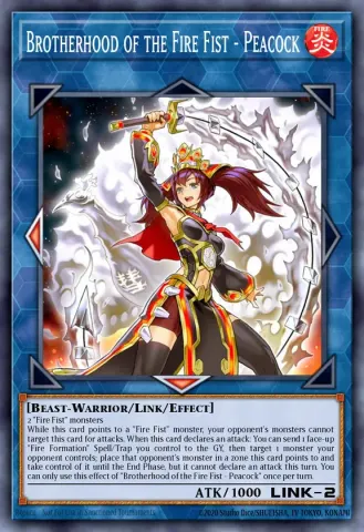Brotherhood of the Fire Fist - Peacock · EN017