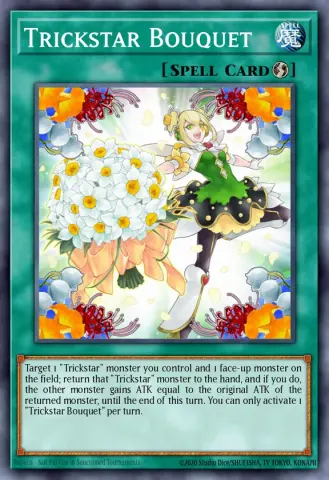 Trickstar Bouquet · EN055