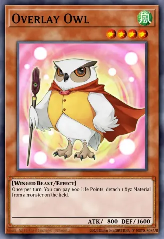 Overlay Owl · EN003