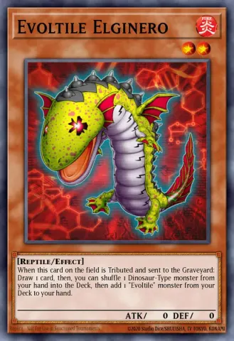 Evoltile Elginero · EN083