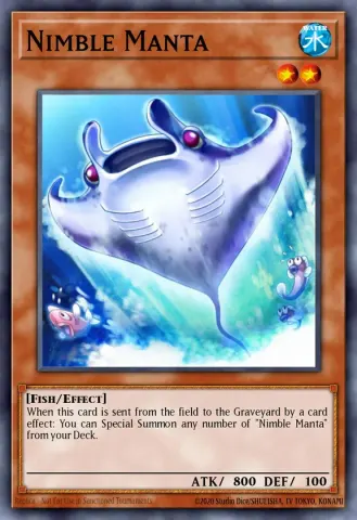 Nimble Manta · EN097