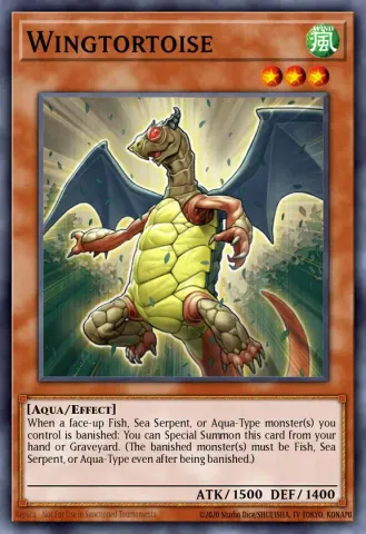 Wingtortoise · EN022