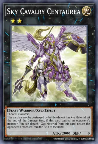 Sky Cavalry Centaurea · EN052
