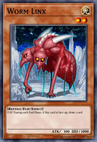 Worm Linx · EN023