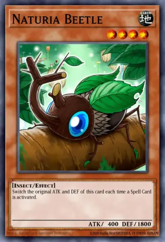 Naturia Beetle · EN001