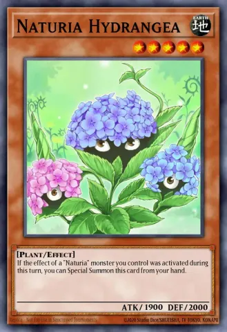 Naturia Hydrangea · EN107