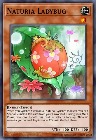 Naturia Ladybug · EN109