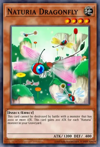 Naturia Dragonfly · EN101