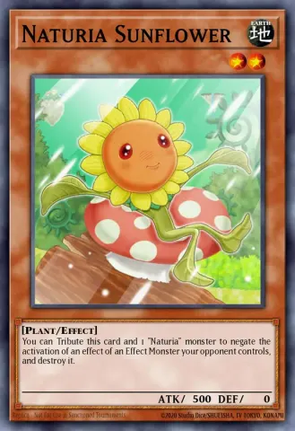 Naturia Sunflower · EN102