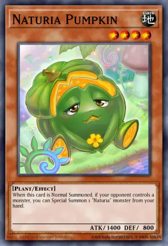 Naturia Pumpkin · EN117