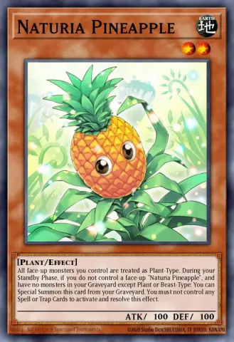 Naturia Pineapple · EN118