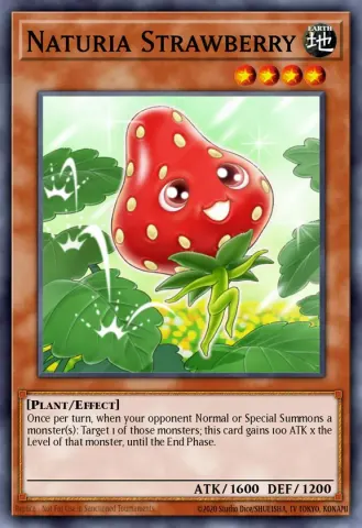 Naturia Strawberry · EN110