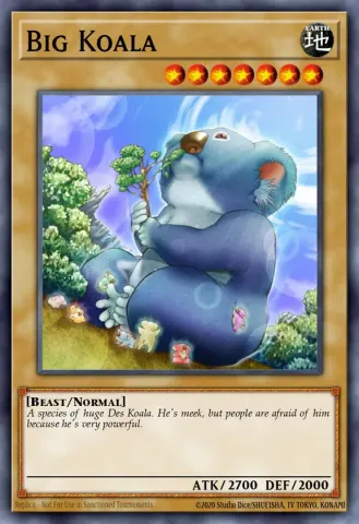 Big Koala · 004