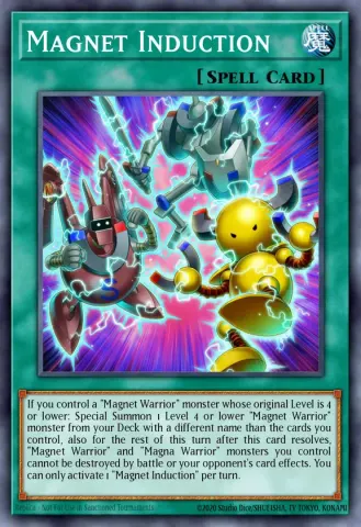 Magnet Induction · EN009