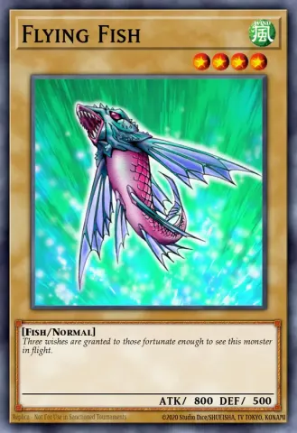 Flying Fish · 007