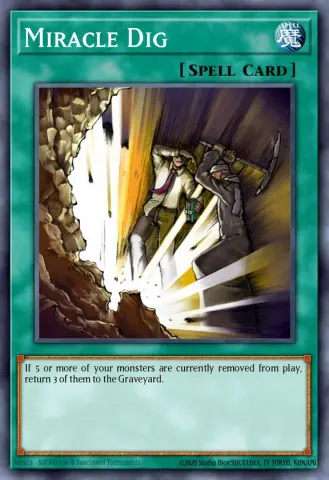 Miracle Dig · 100
