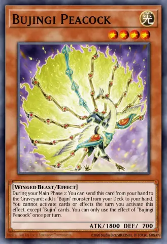 Bujingi Peacock · EN027