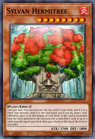 Sylvan Hermitree · EN020