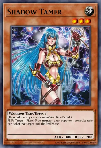 Shadow Tamer · 025