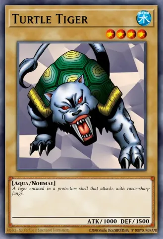 Turtle Tiger · E018