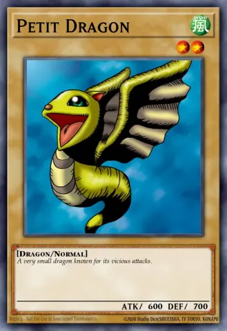 Petit Dragon · E019